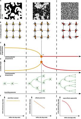 Why Brain Criticality Is Clinically Relevant: A Scoping Review